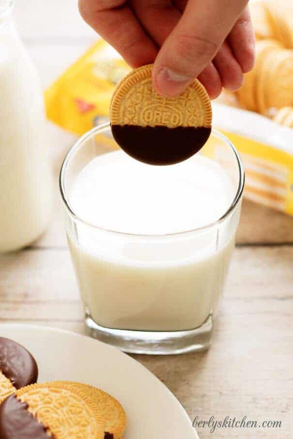 Golden Oreo being dipped into a glass of milk.