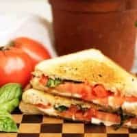 A grilled cheese margarita sandwich with perfectly toasted sourdough and all the flavors of the famous pizza including basil, mozzarella, and tomatoes.