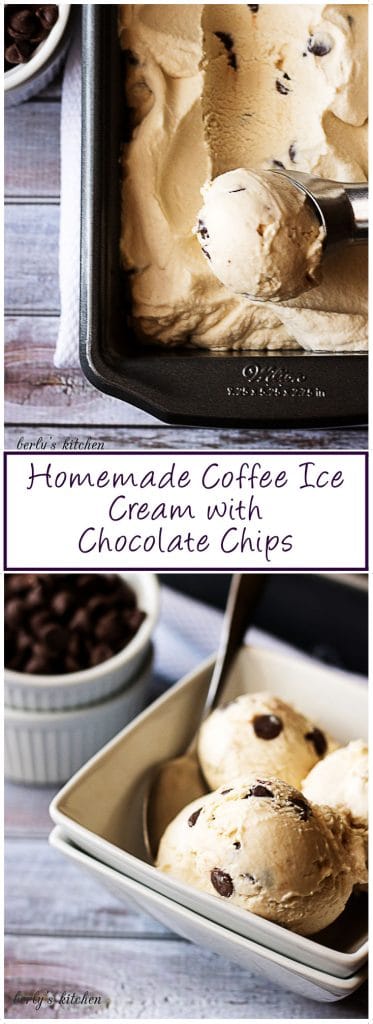 Coffee ice cream with chocolate chips in a white bowl.