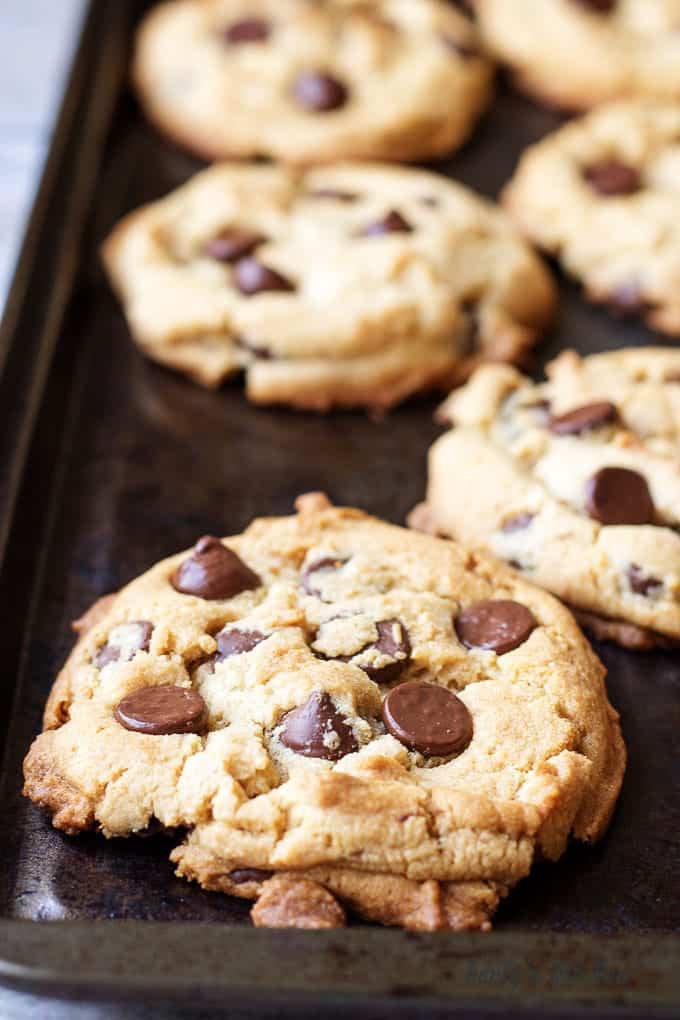 Close up of chewy peanut butter cookies with chocolate chips on baking sheet.