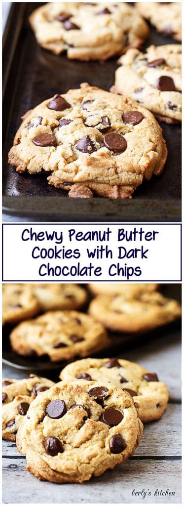 Chocolate chip peanut butter cookies on a baking sheet.