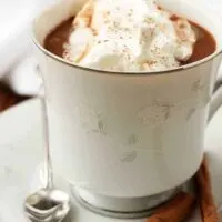 The hot cocoa in a white cup garnished with whipped cream and cinnamon.