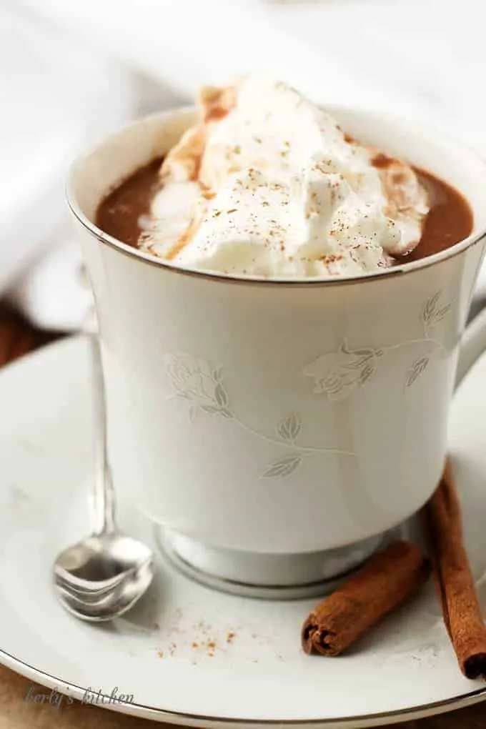 The hot cocoa in a white cup topped with whipped cream and cinnamon.