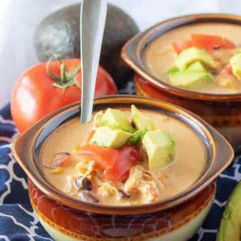 Instant Pot Chicken Taco Soup