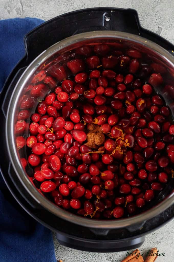 An aerial picture of the ingredients in the instant pot ready to be cooked.