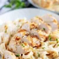 A close-up view of the finished chicken alfredo and pasta.