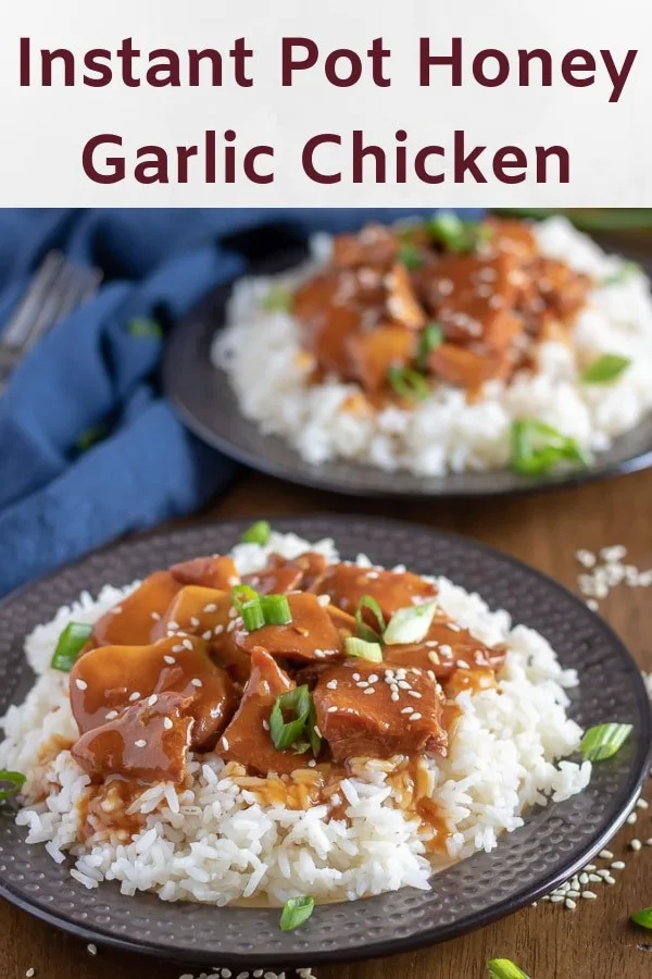 Instant Pot Honey Garlic Chicken Recipe