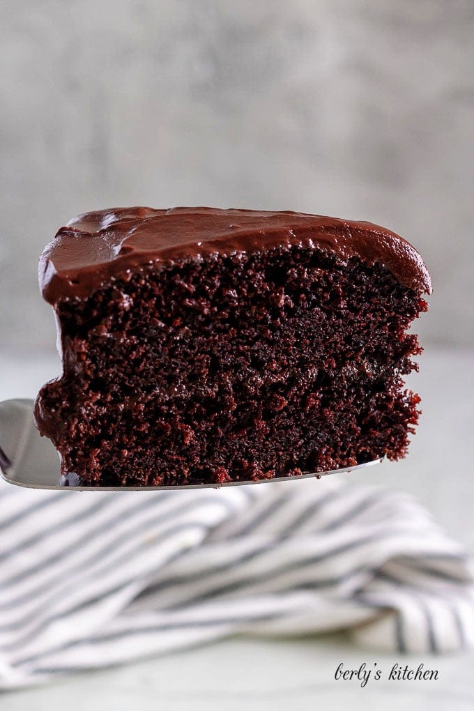 A large slice of the cake highlighting the layers and chocolate ganache.