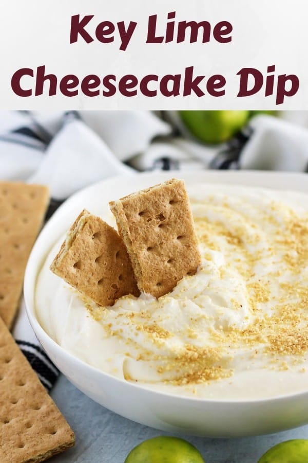 The key lime cheesecake dip, in a bowl, garnished with cracker crumbs.