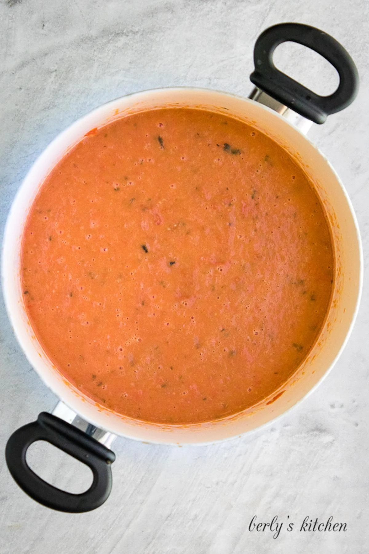The ingredients have been blended into a smooth marinara sauce.
