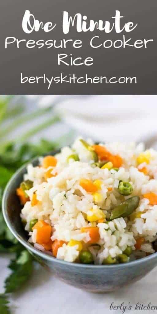 A serving of the pressure cooker rice in a decorative bowl.