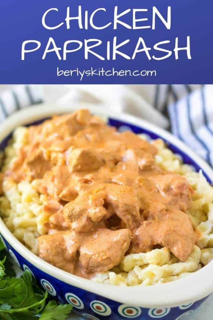 Chicken paprikash in a decorative blue bowl served with spaetzle,