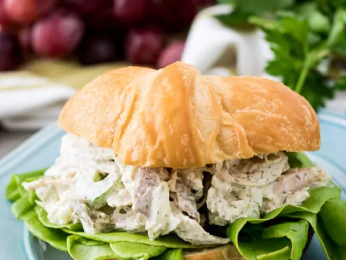 A turkey salad sandwich with lettuce on a golden croissant.