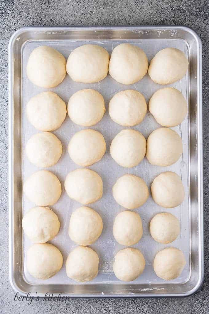 Twenty-four raw yeast rolls on a large sheet pan.