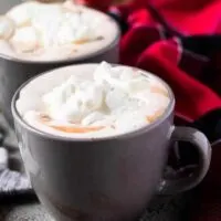 The finished instant pot gingerbread hot chocolate garnished with spices.