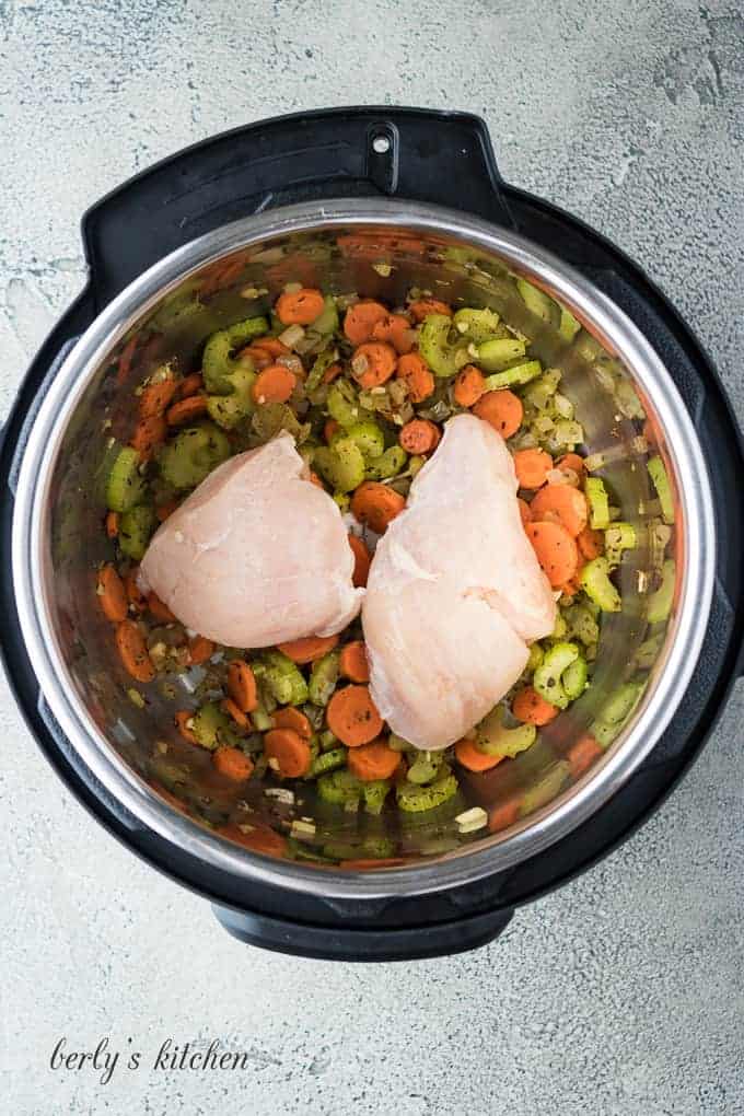 Instant Pot Chicken Noodle Soup Recipe