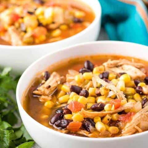 Instant pot chicken tortilla soup 4 19+ easy soup recipes to try this fall