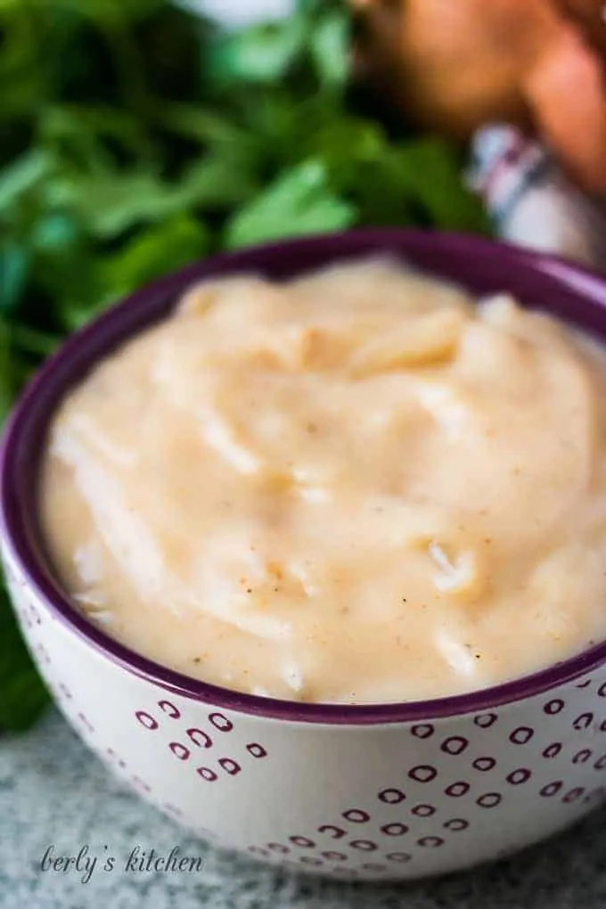 Cream of Onion Soup Substitute