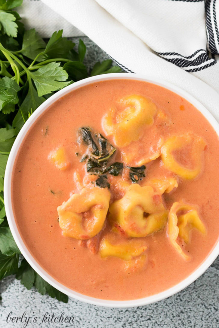 A top-down view of the creamy pasta soup.