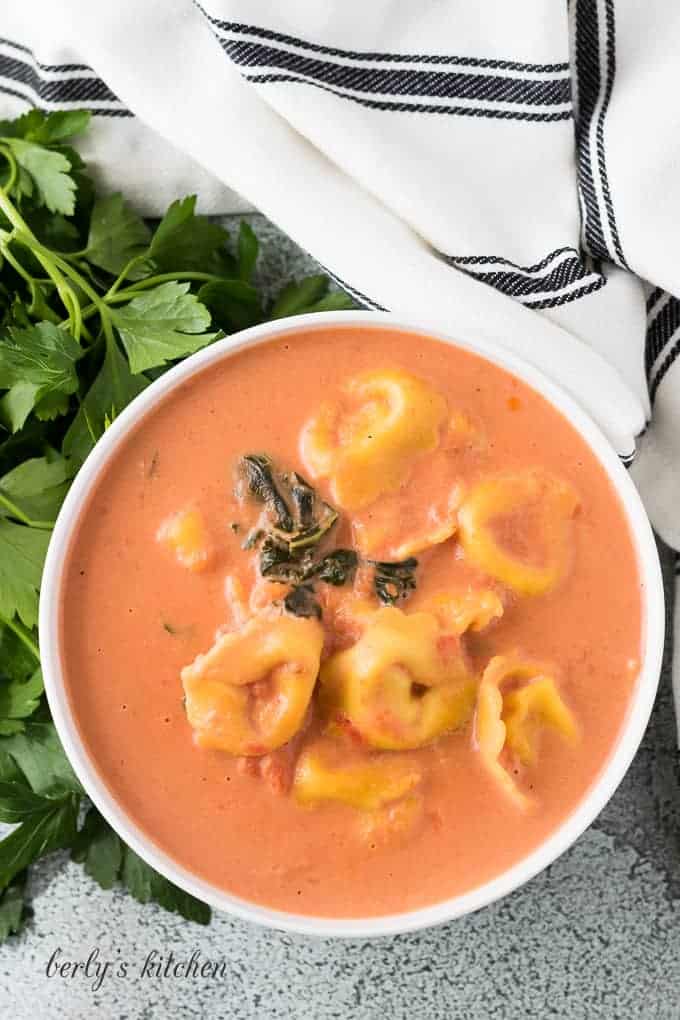 A top-down view of the creamy pasta soup.