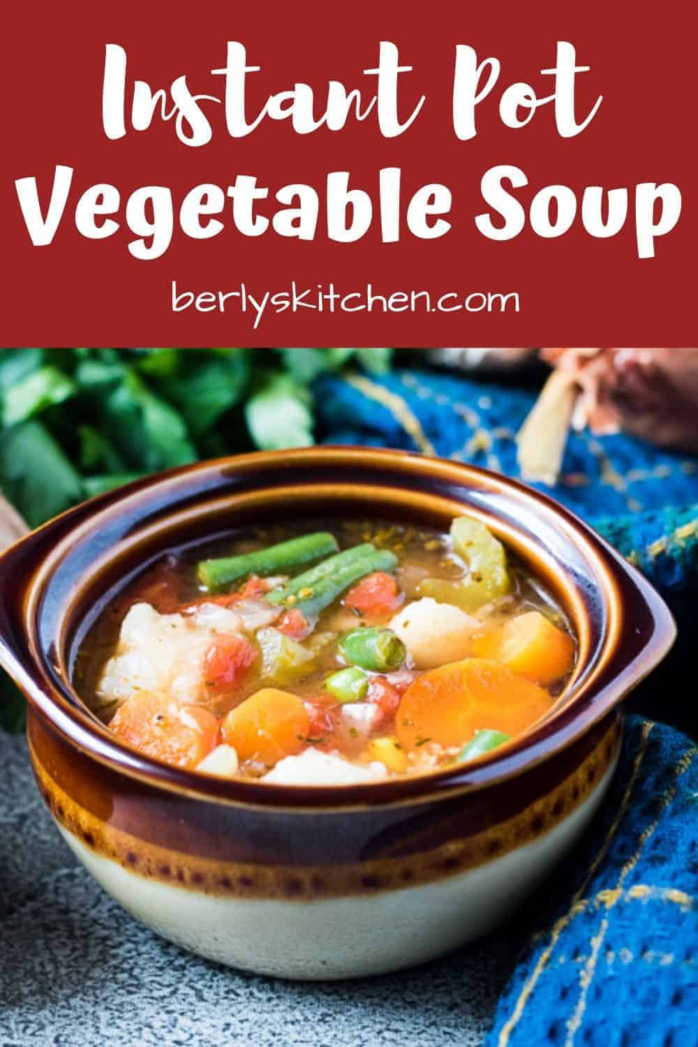 Instant Pot Vegetable Soup Recipe