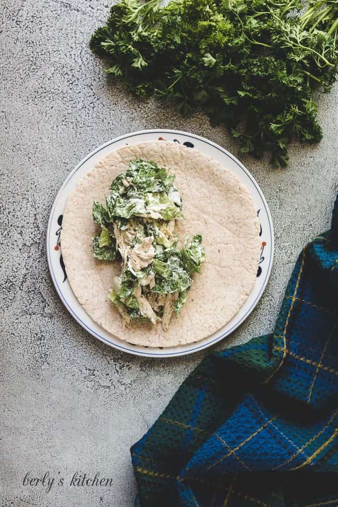 A portion of the chicken caesar filling on a whole wheat tortilla.