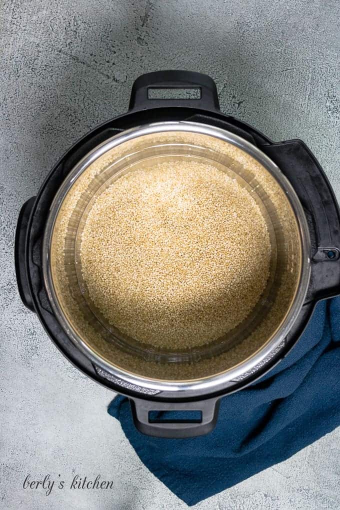 A top-down view of the quinoa, water, and salt in the liner.
