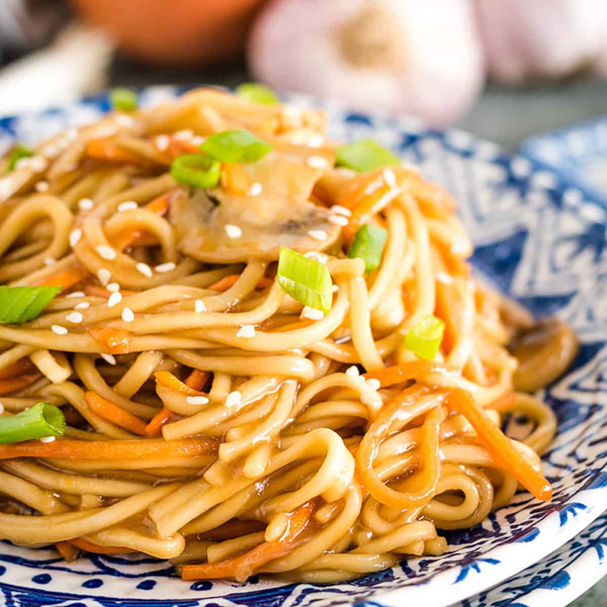 A serving of Instant Pot vegetable lo mein on a plate.