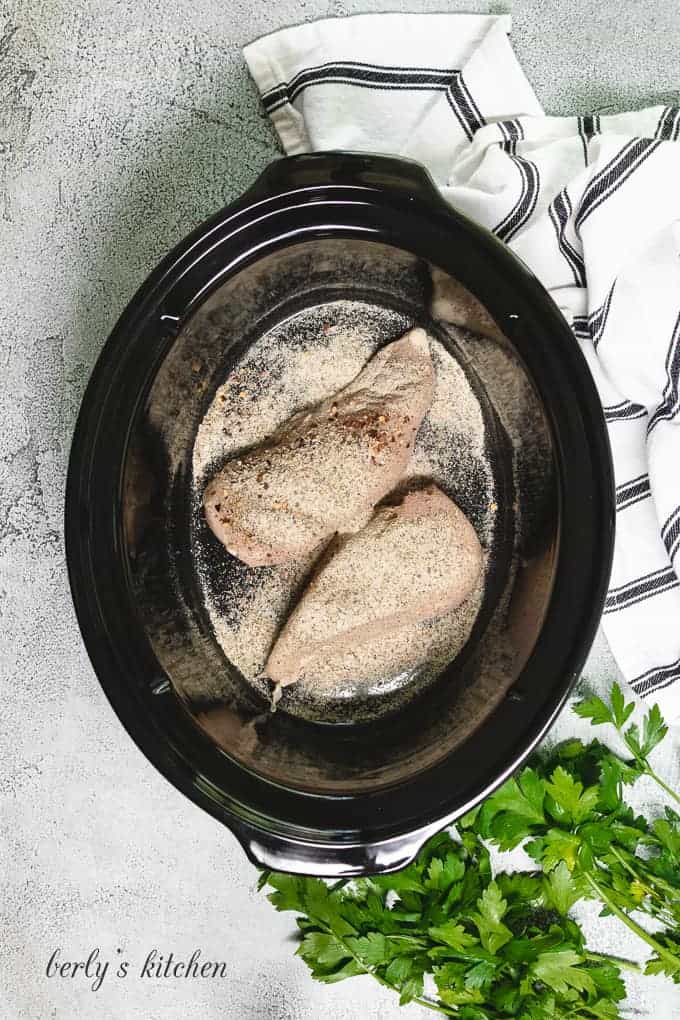Two raw chicken breasts seasoned and placed into a slow cooker.