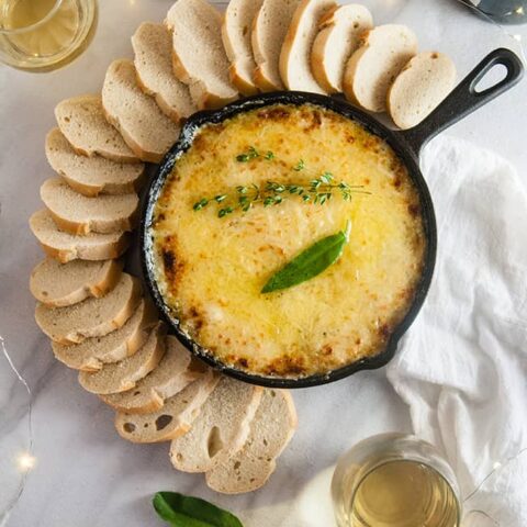 Caramelized onion cheese dip 6 memorial day recipes