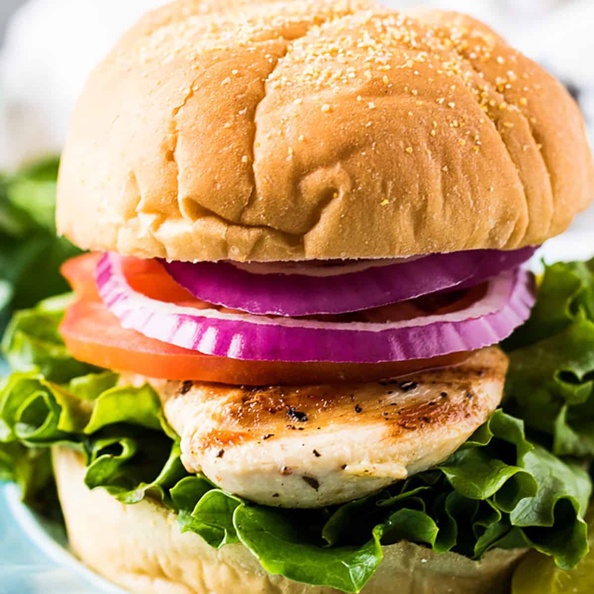 Grilled Chicken Sandwich Recipe