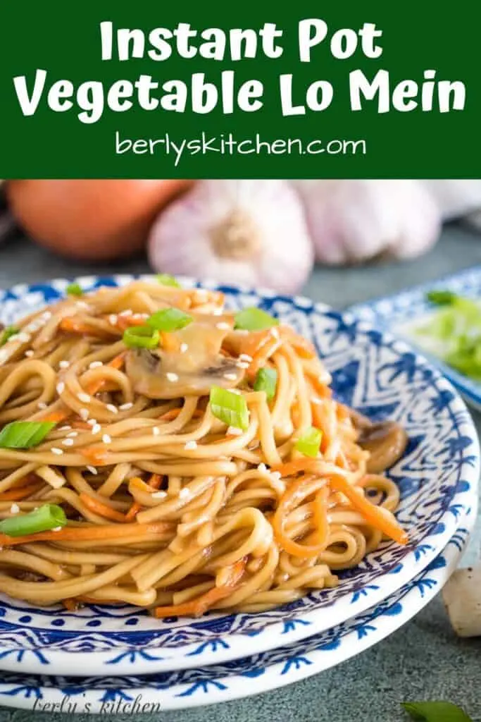The lo mein topped with sesame seeds and green onions.
