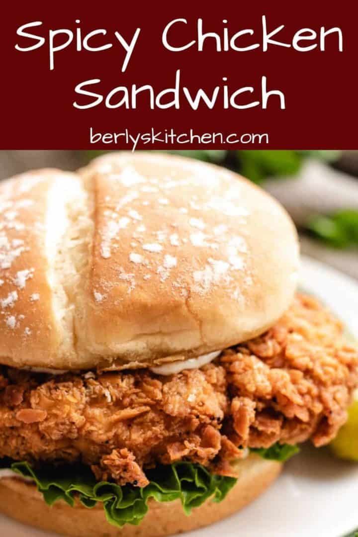 An up-close view of the spicy chicken sandwich.