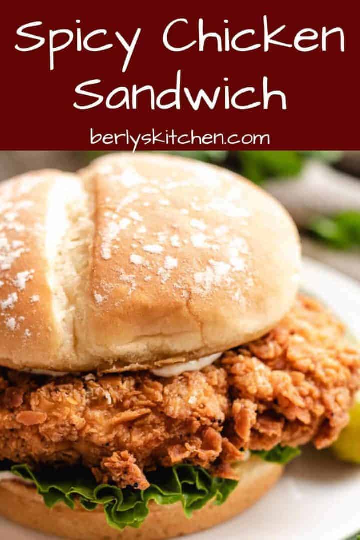 An up-close view of the spicy chicken sandwich.