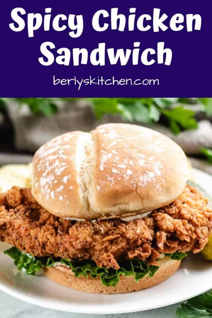 The spicy chicken sandwich on a small white plate.