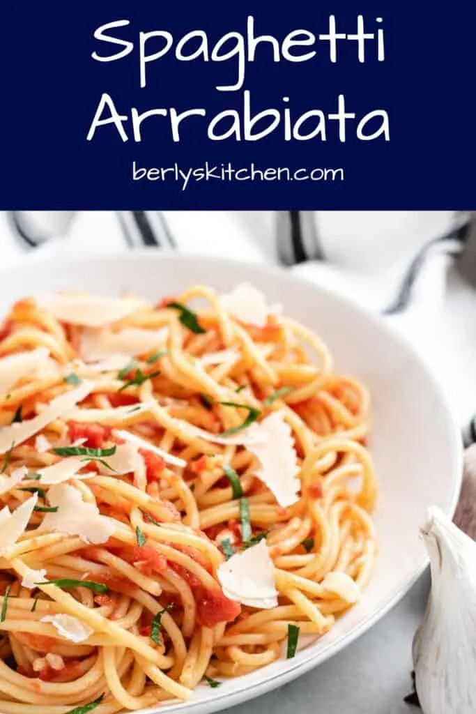 A close-up view of the spaghetti arrabiata in a bowl.