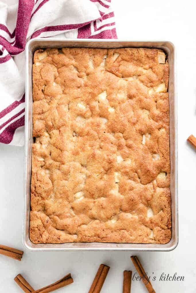 Fresh baked apple cake in a pan.