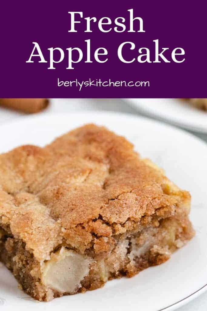 A piece of apple cake on a small plate.