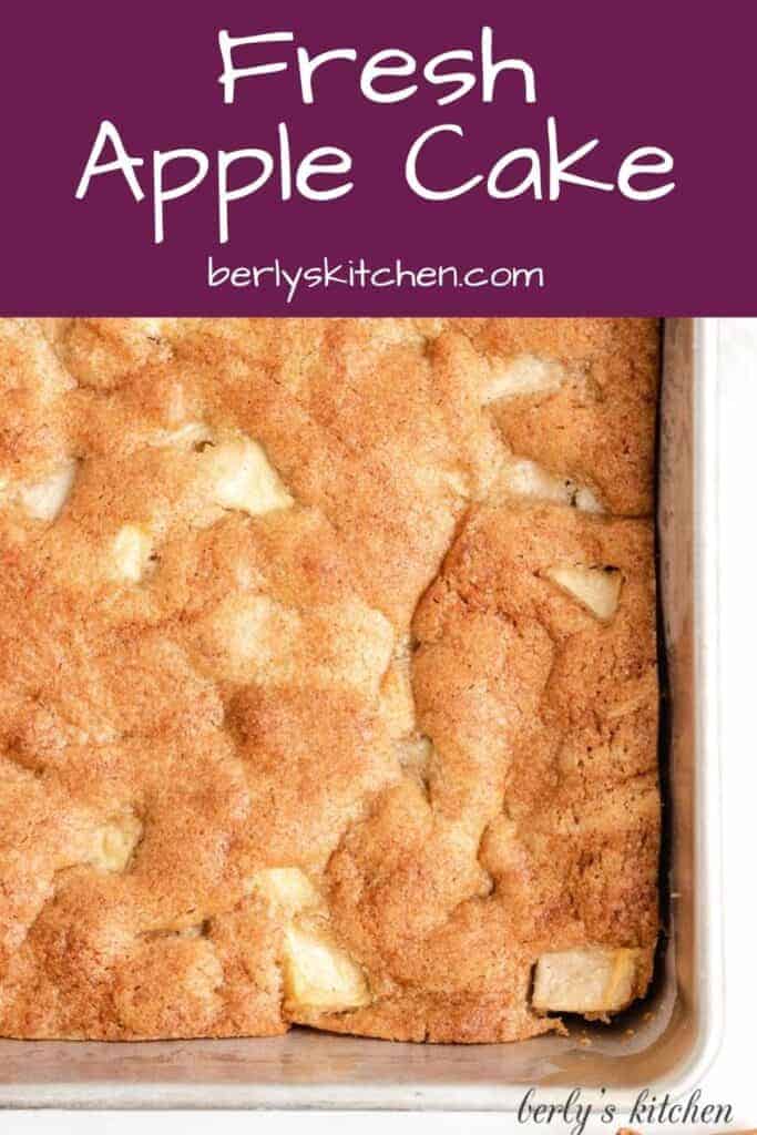 An aerial view of the apple cake in a pan.