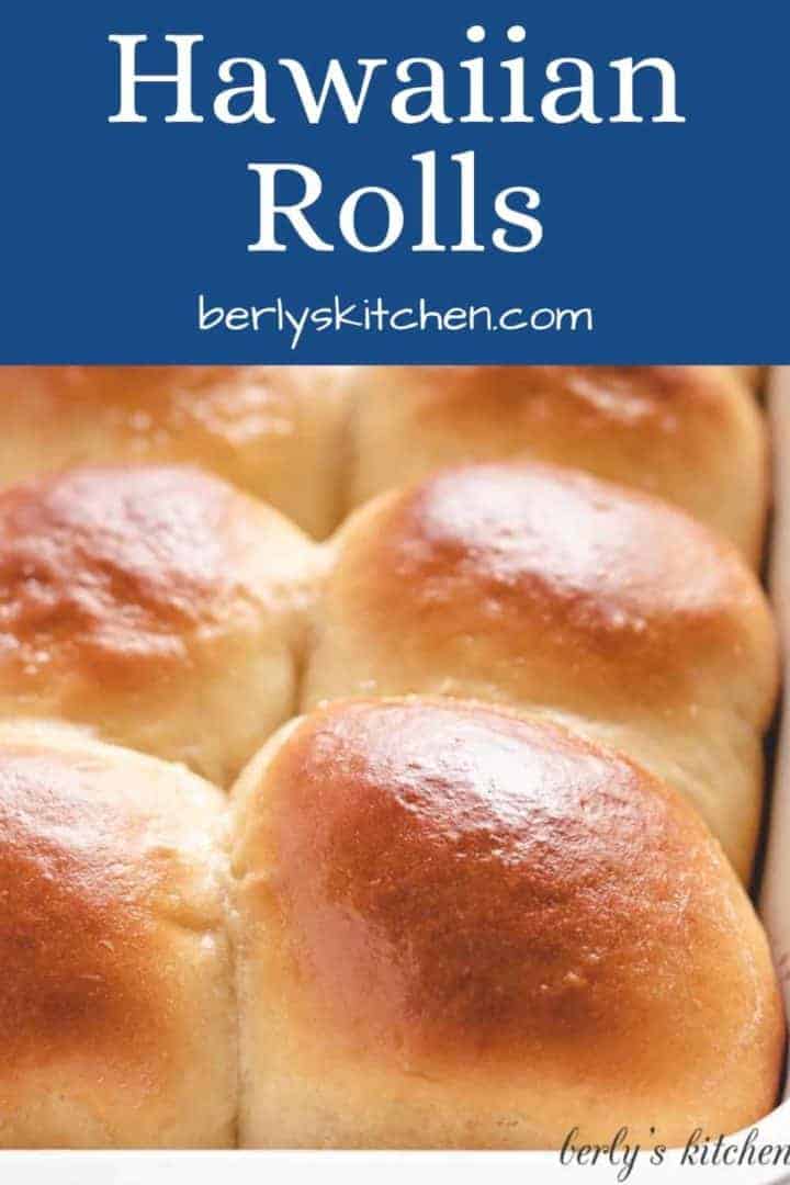 A close-up view of fresh baked hawaiian rolls.