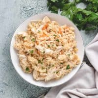 Top down view of chicken and rice on a plate.