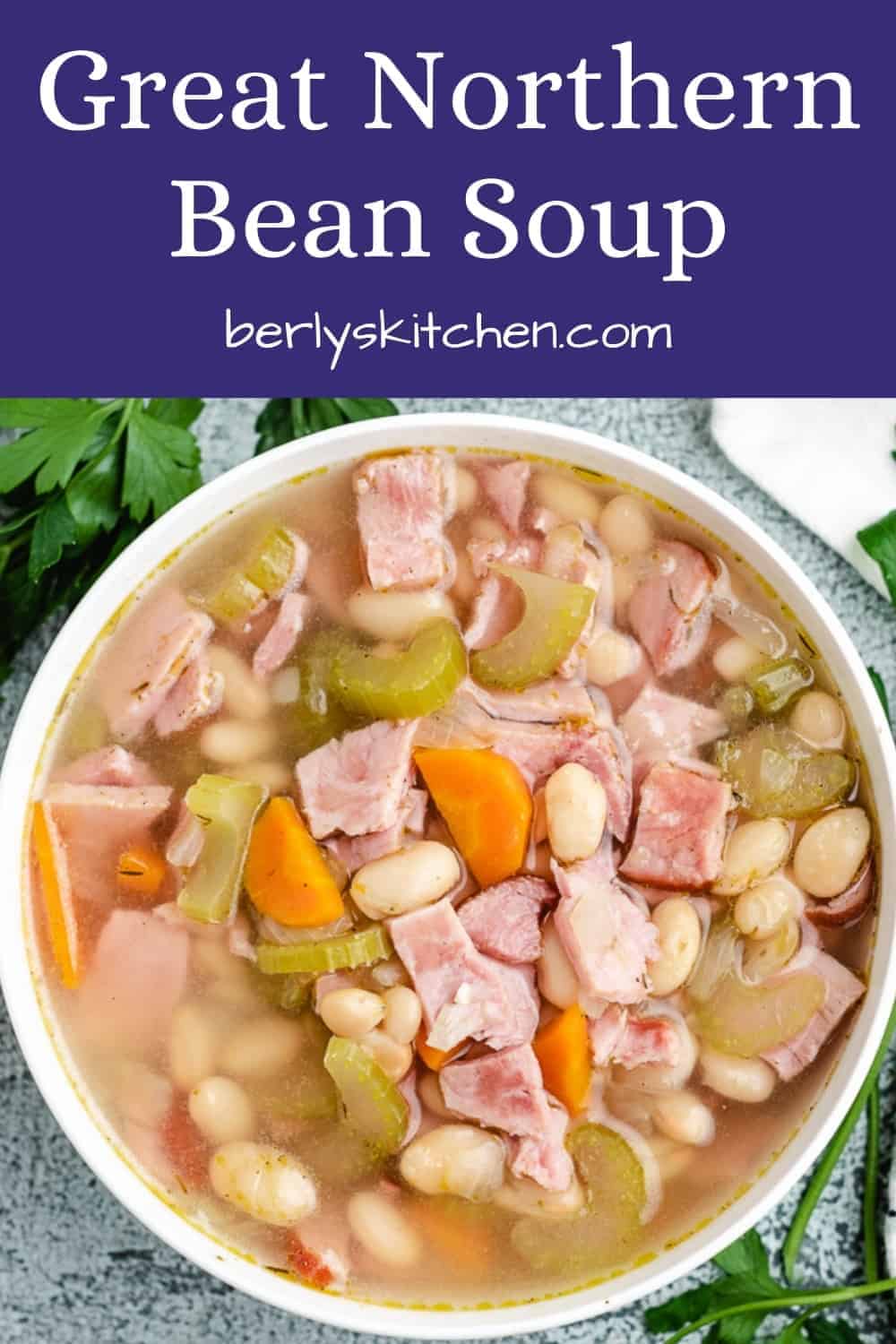 Great Northern Bean Soup