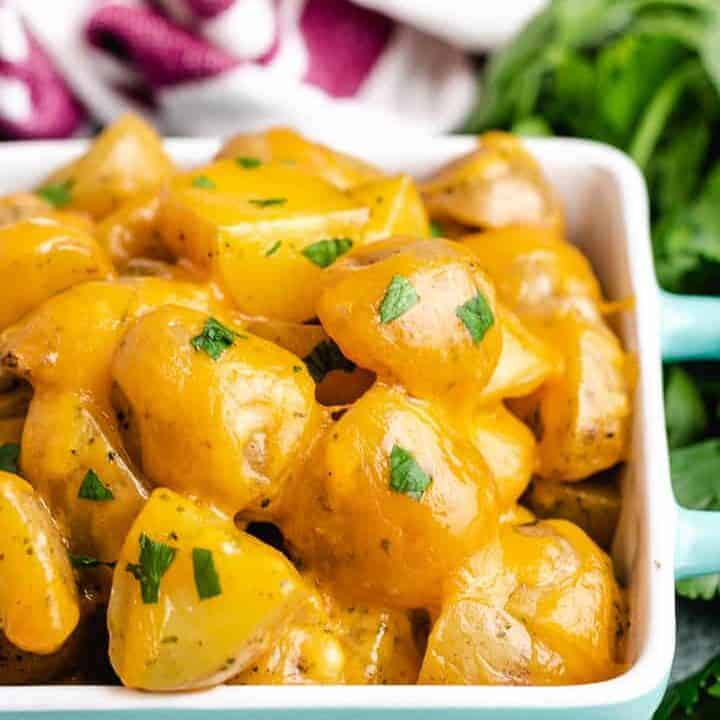 A close-up view of the cheesy potatoes with green onions.