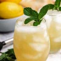 A close-up of the finished cocktail with fresh mint.