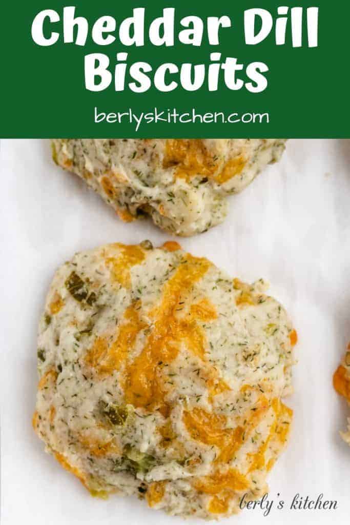 Fresh baked cheddar dill biscuits on a sheet pan.