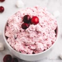 The cranberry fluff in a small white bowl.