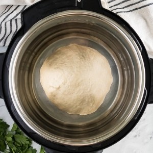 Top down view of dough in the Instant Pot.