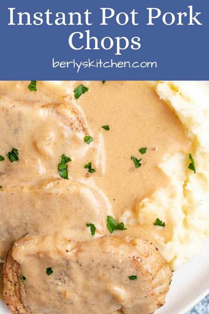 Top-down view of Instant Pot smothered pork chops.
