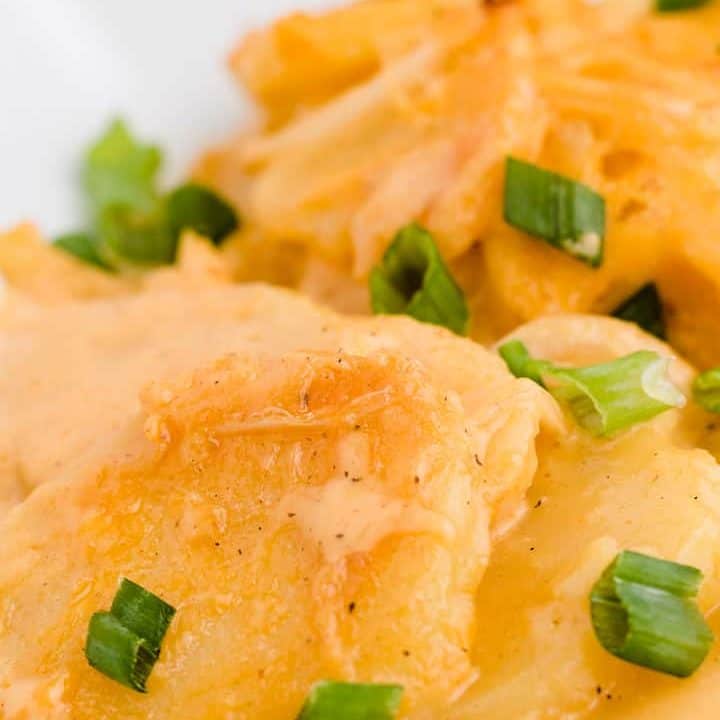 A close-up photo of the creamy scalloped potatoes.