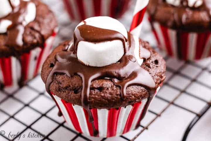 Hot chocolate cupcakes topped with a chocolate drizzle.